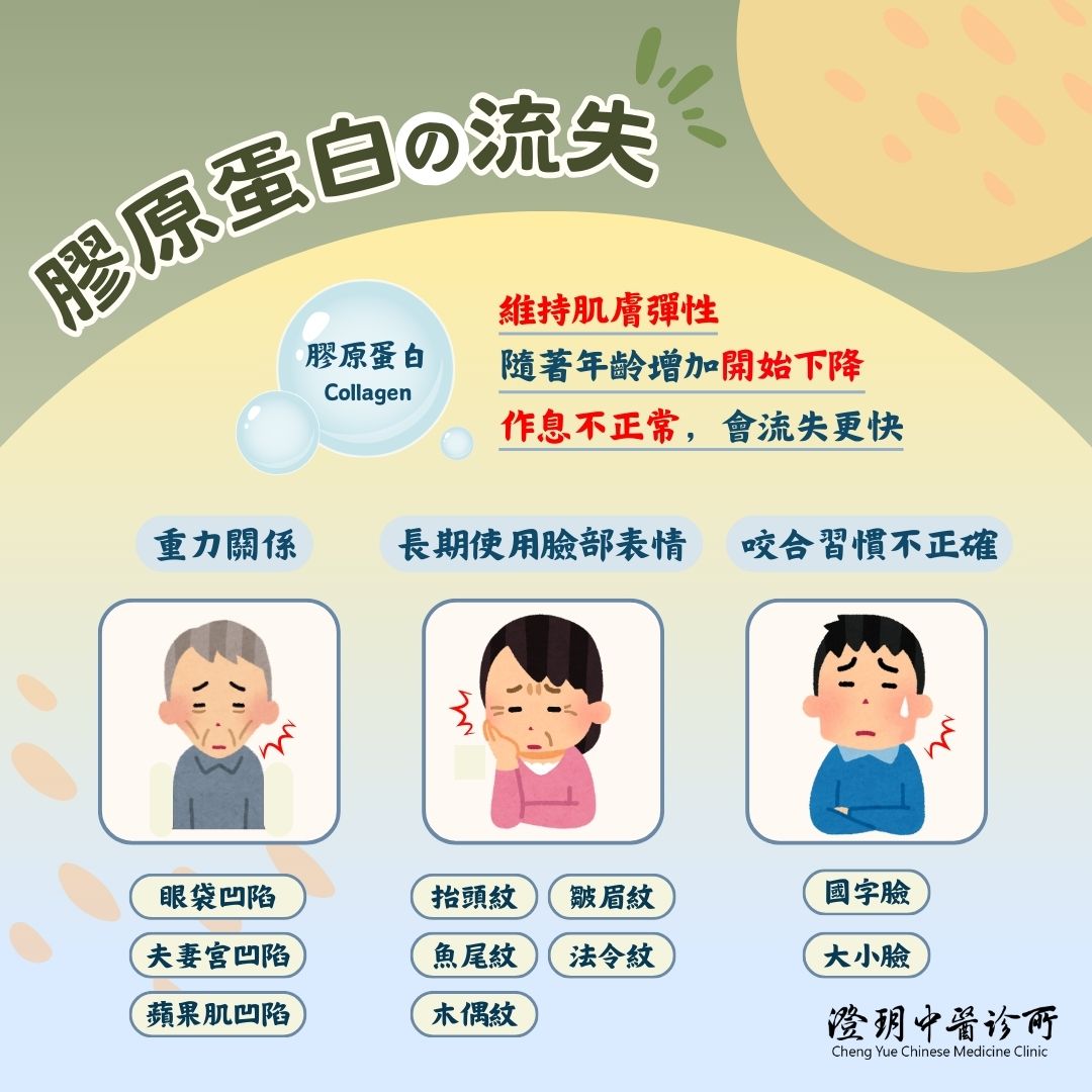 cheng yue_Facial_Acupuncture_collagen_lose